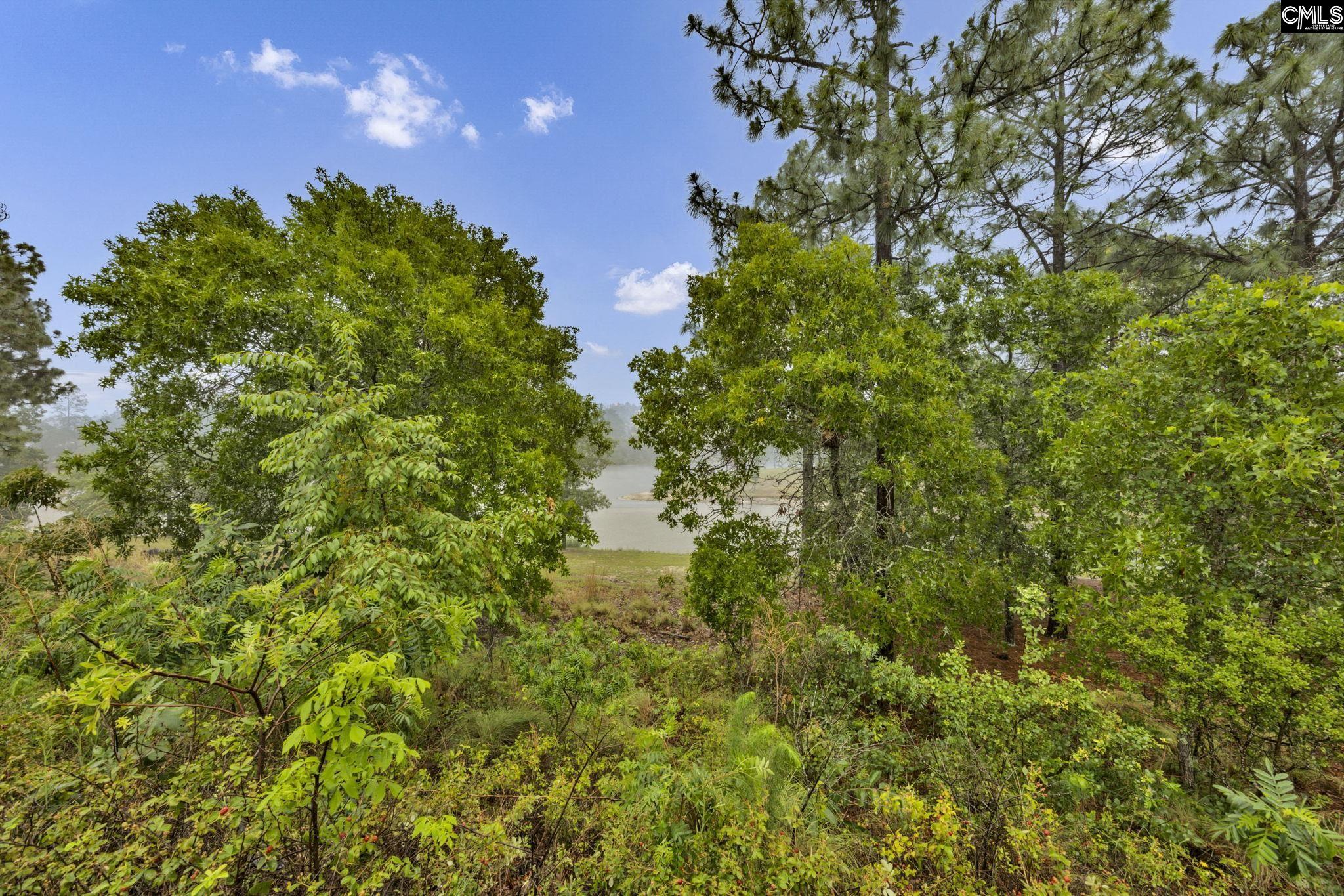212 Indigo Springs Drive