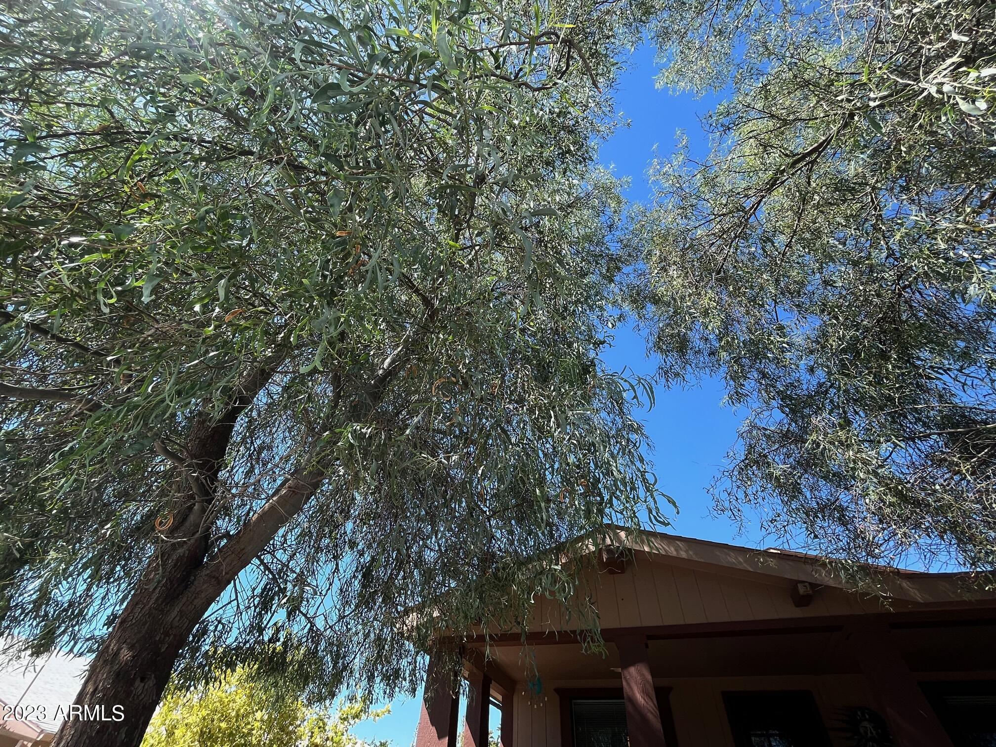3901 E PINNACLE PEAK Road, 310