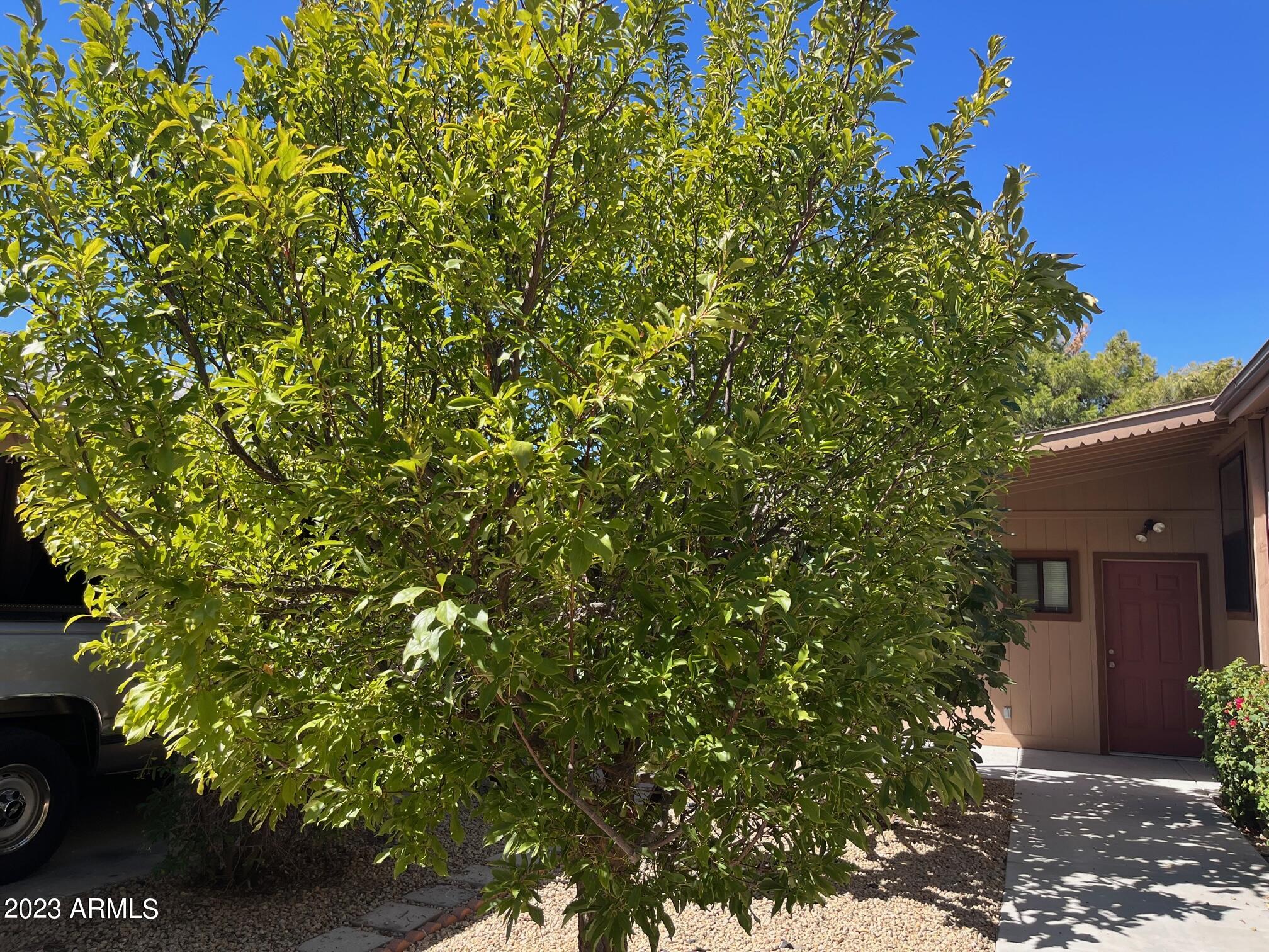 3901 E PINNACLE PEAK Road, 310