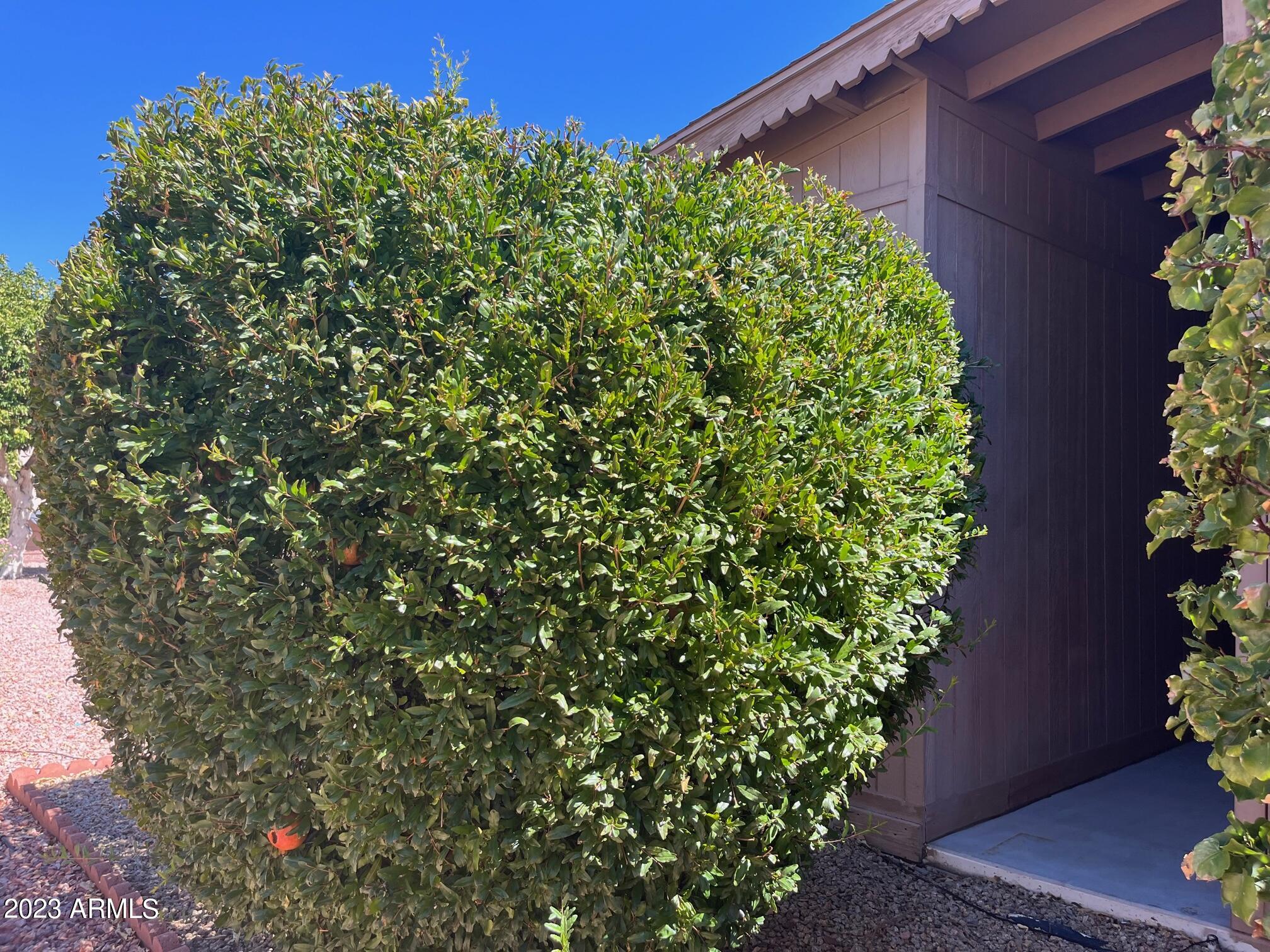 3901 E PINNACLE PEAK Road, 310