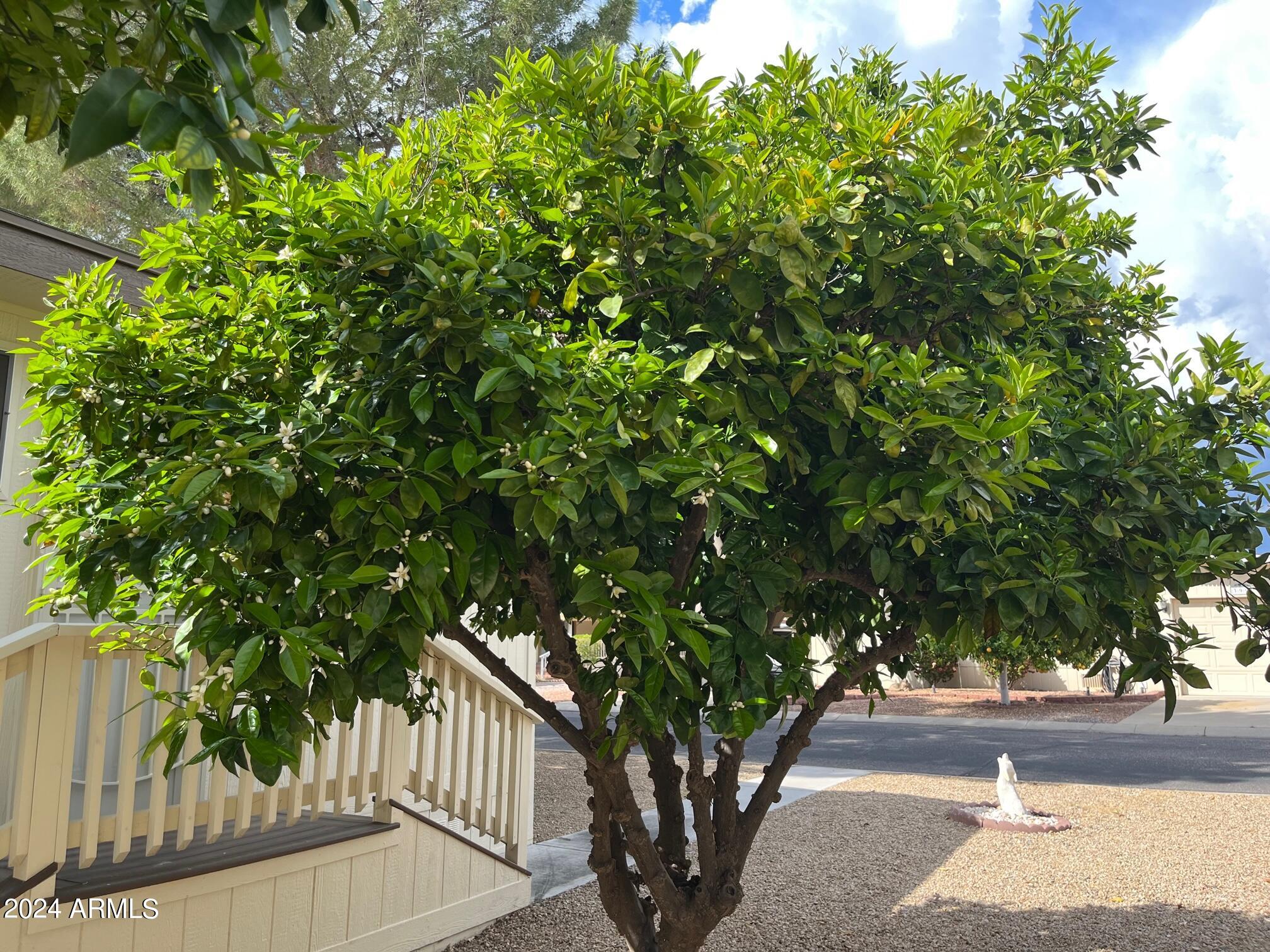 3901 E PINNACLE PEAK Road, 184
