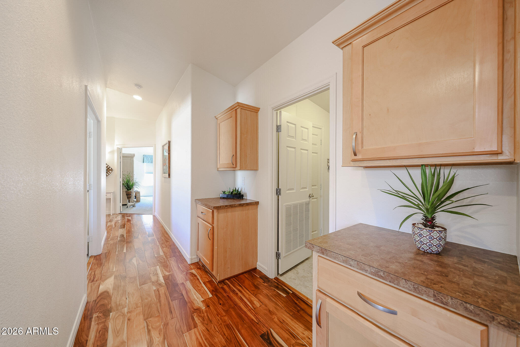 Bright hallway with wood-look flooring, built-in light wood cabinetry, and potted plants.
