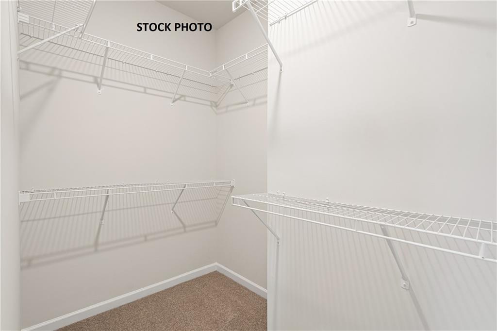 1631 Winding Ridge Trail