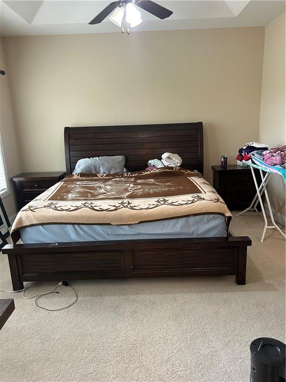 424 Williamson Street