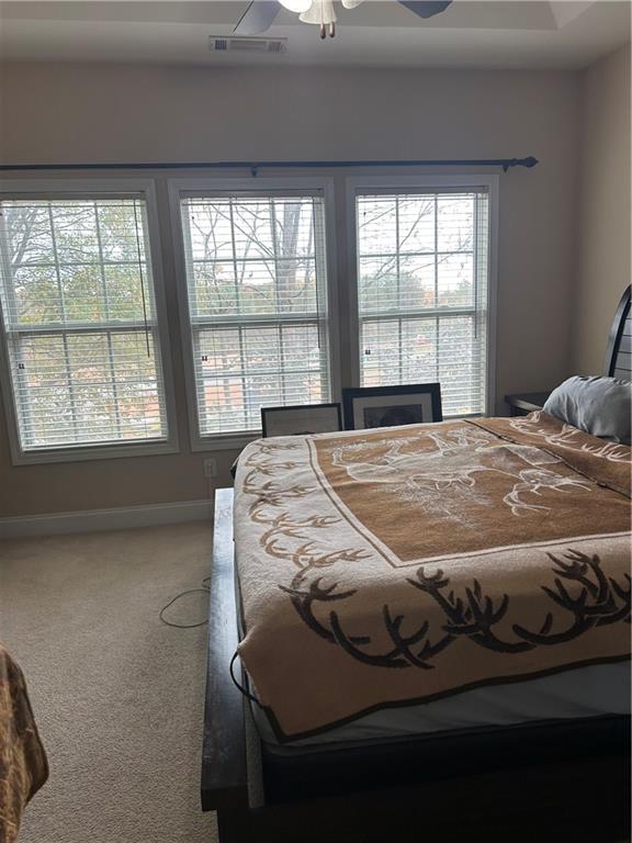 424 Williamson Street