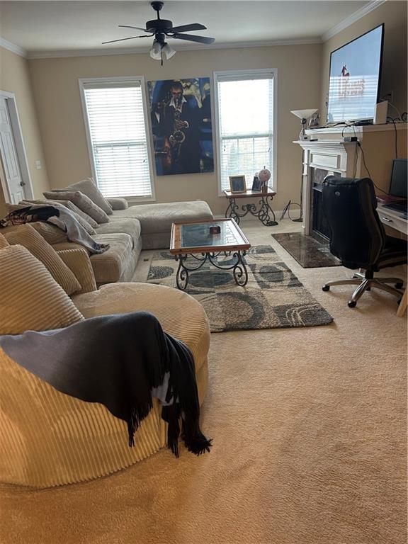 424 Williamson Street