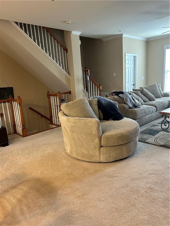 424 Williamson Street