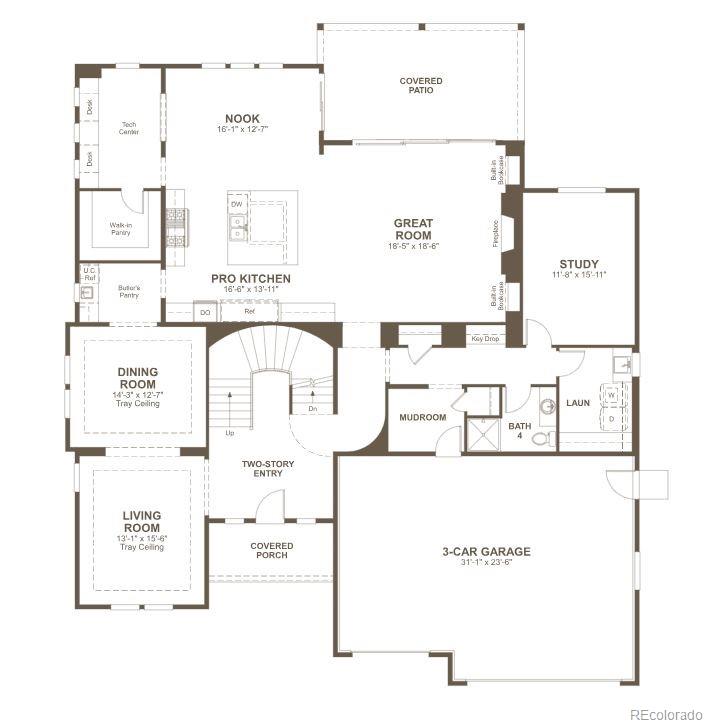 1351 Oleander Street