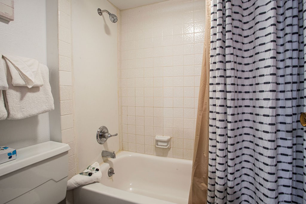 433 Wild Irishman ROAD 1029