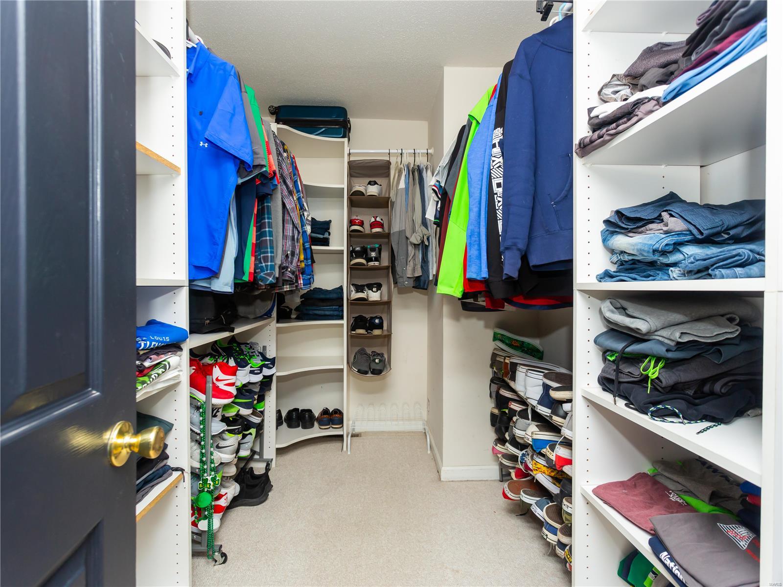 4617 Hills Springs Lane