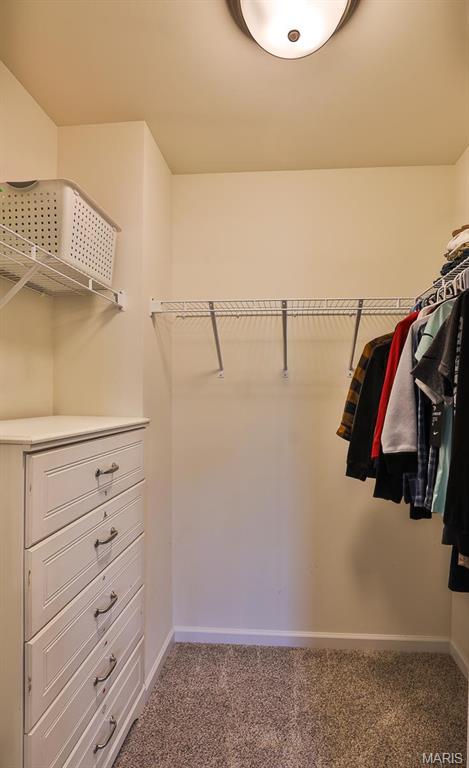 5310 Mitschang Court