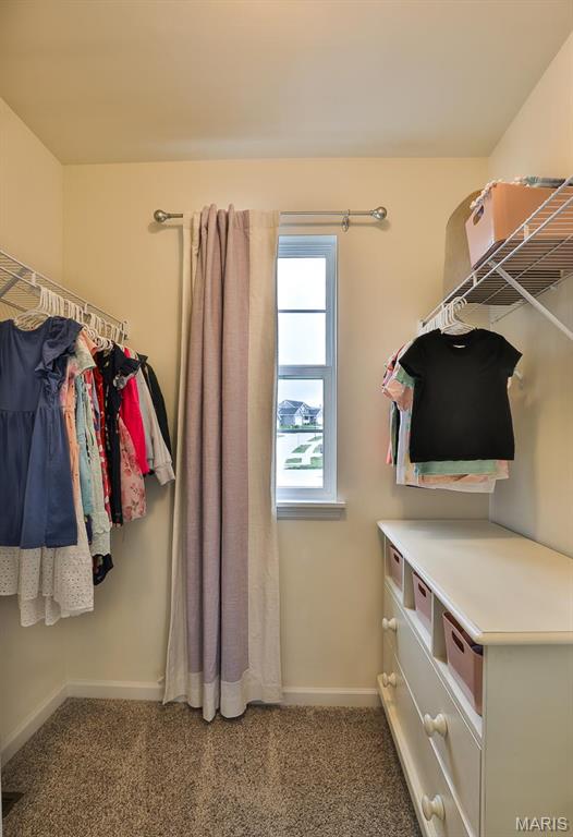 5310 Mitschang Court