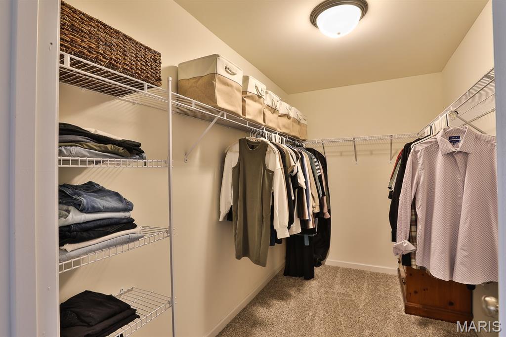 5310 Mitschang Court