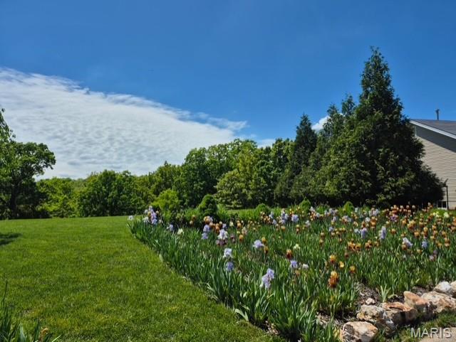 11 Fox Trotter Court