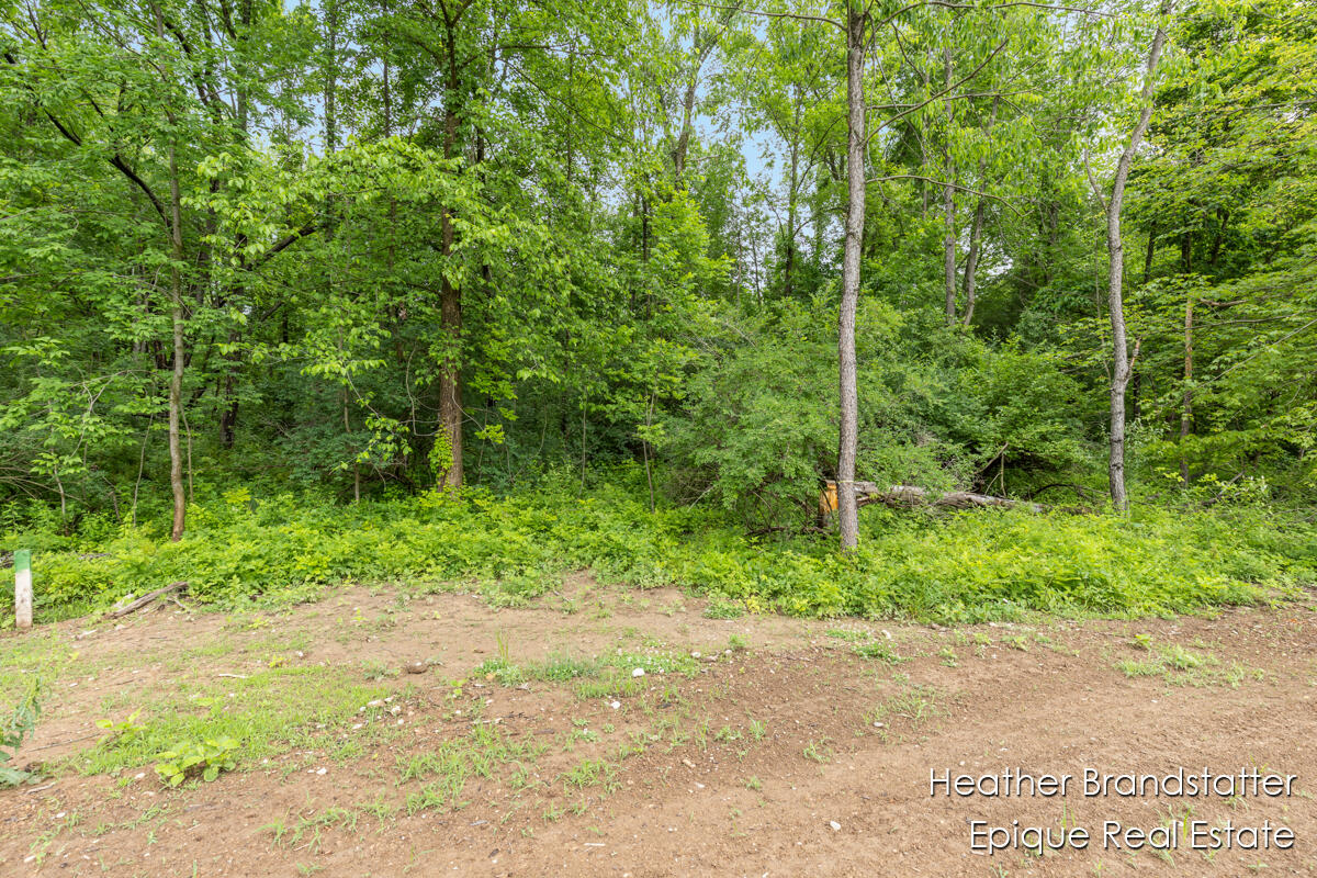 6225 Wilden Ridge Drive NE