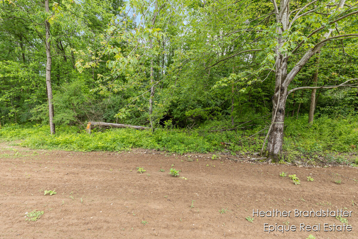 6225 Wilden Ridge Drive NE