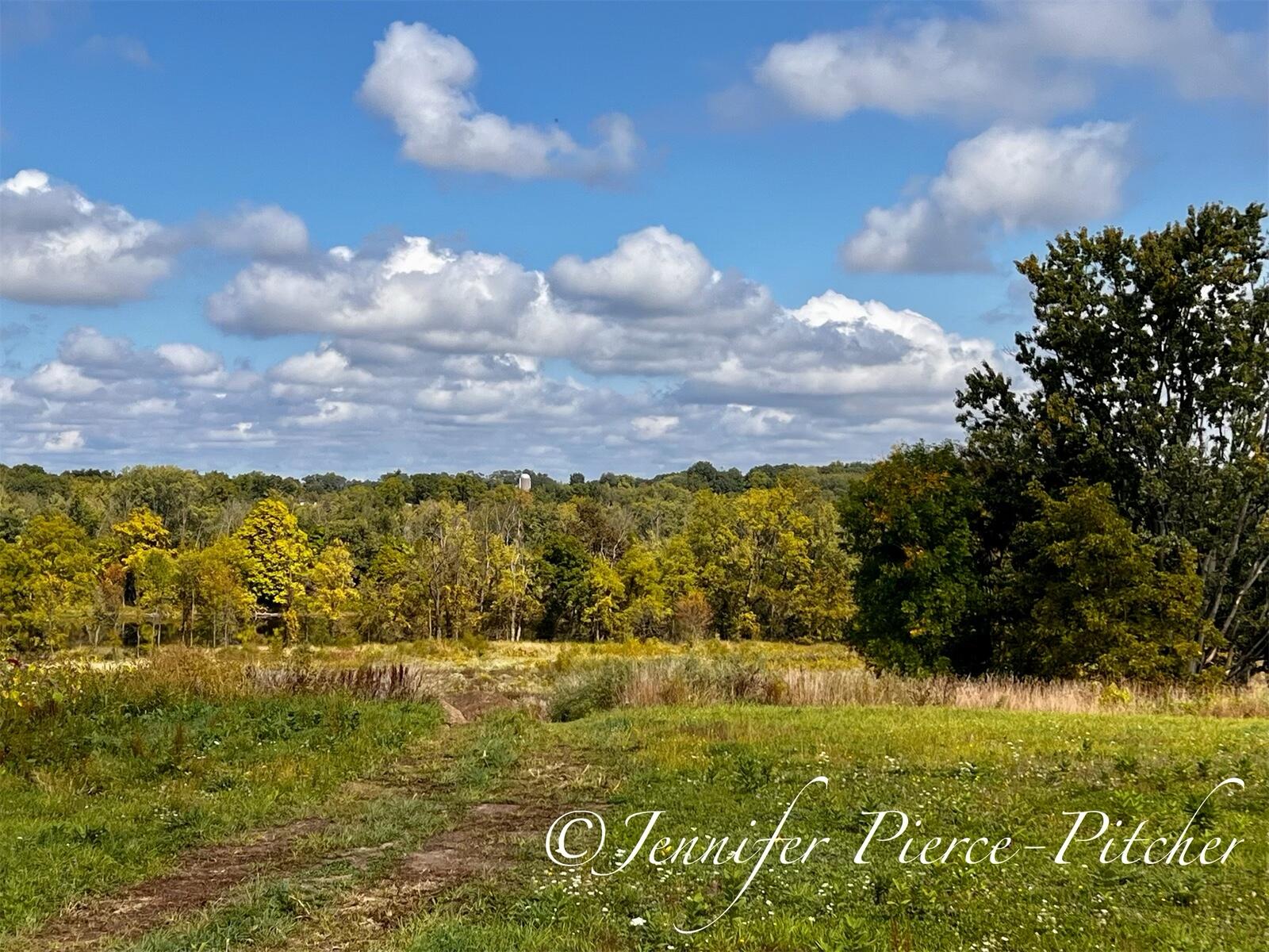 12742 Ridgedale Drive