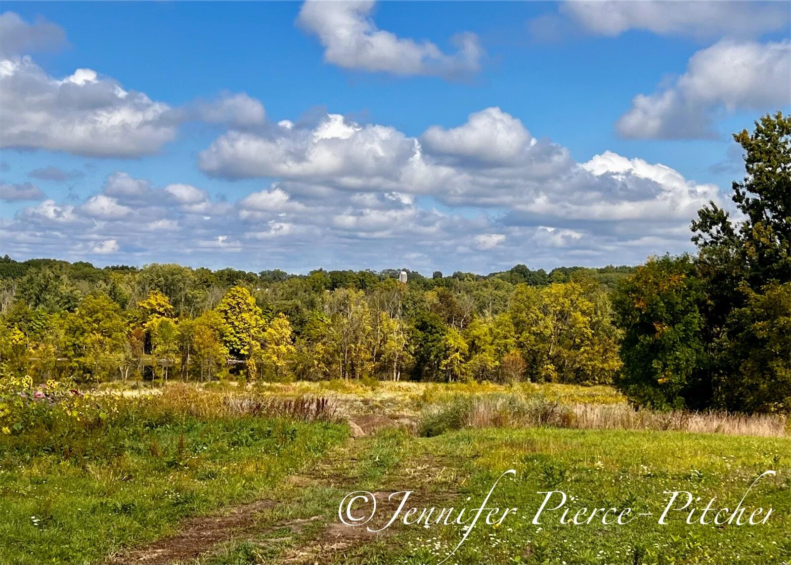 12742 Ridgedale Drive