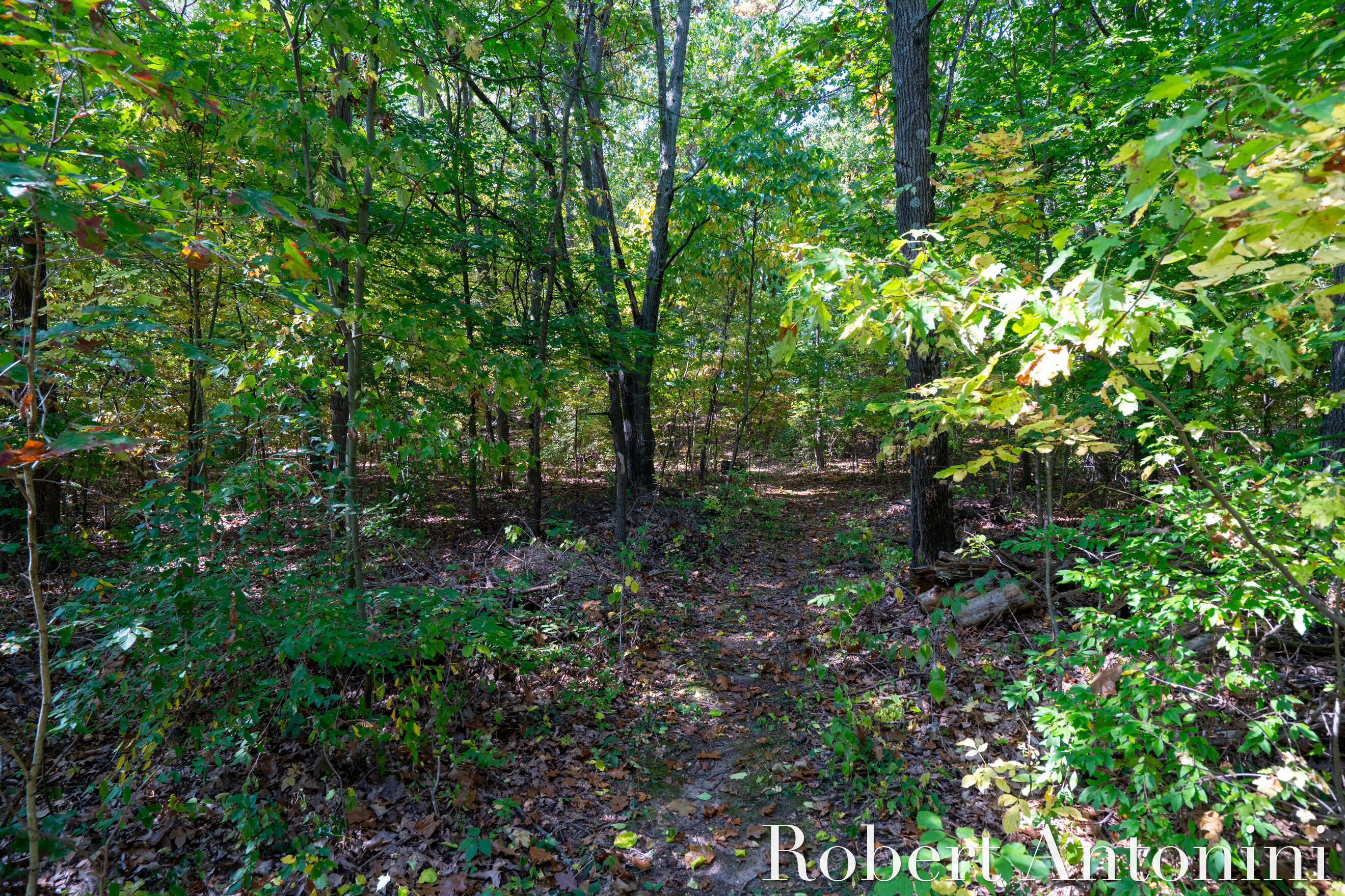 14111 Thompson Drive NE