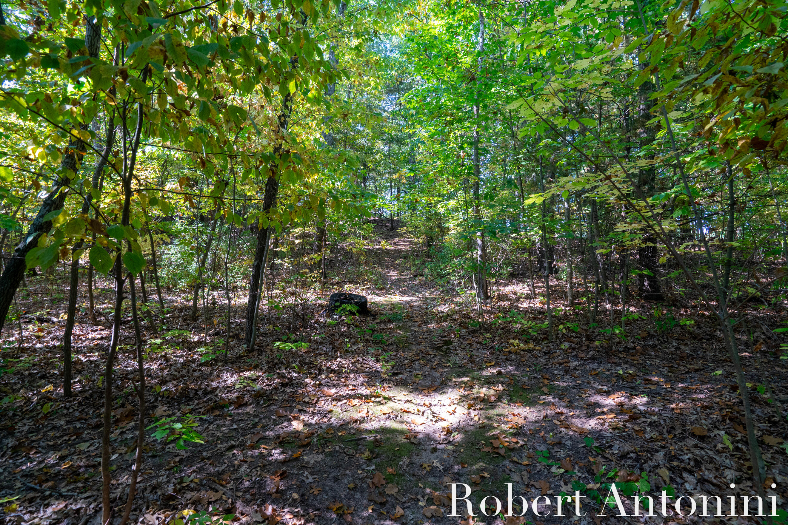 14111 Thompson Drive NE