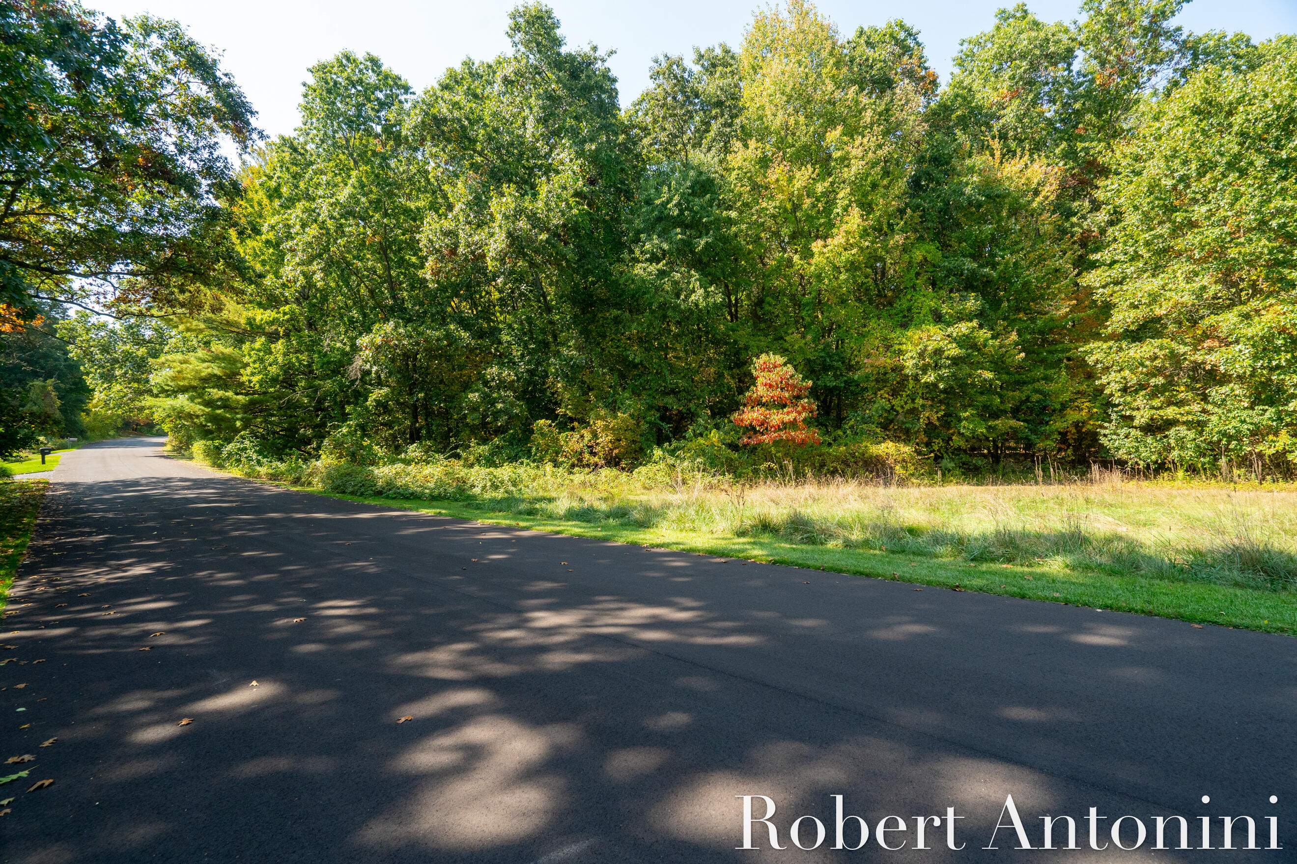 14111 Thompson Drive NE