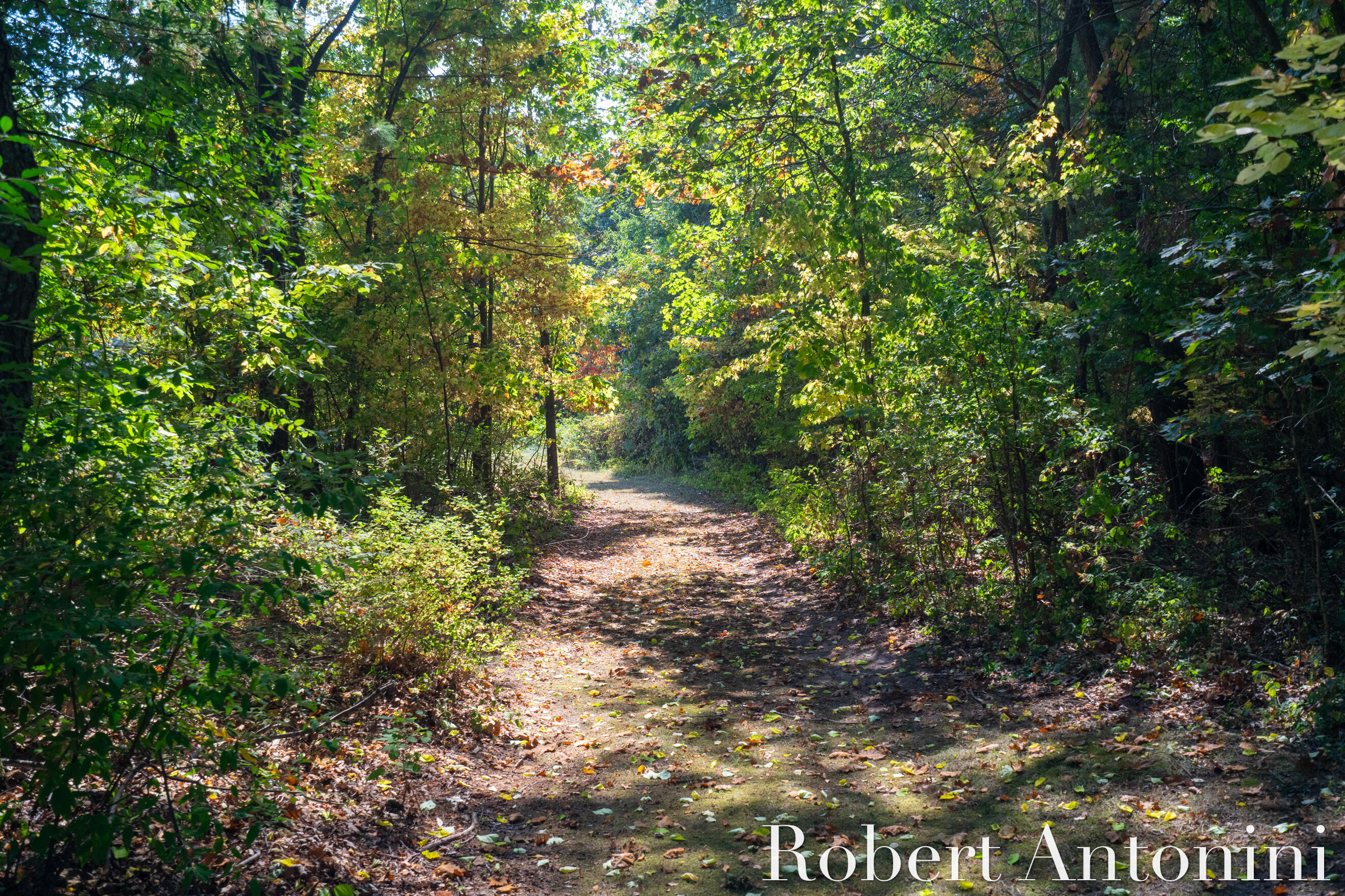 14111 Thompson Drive NE