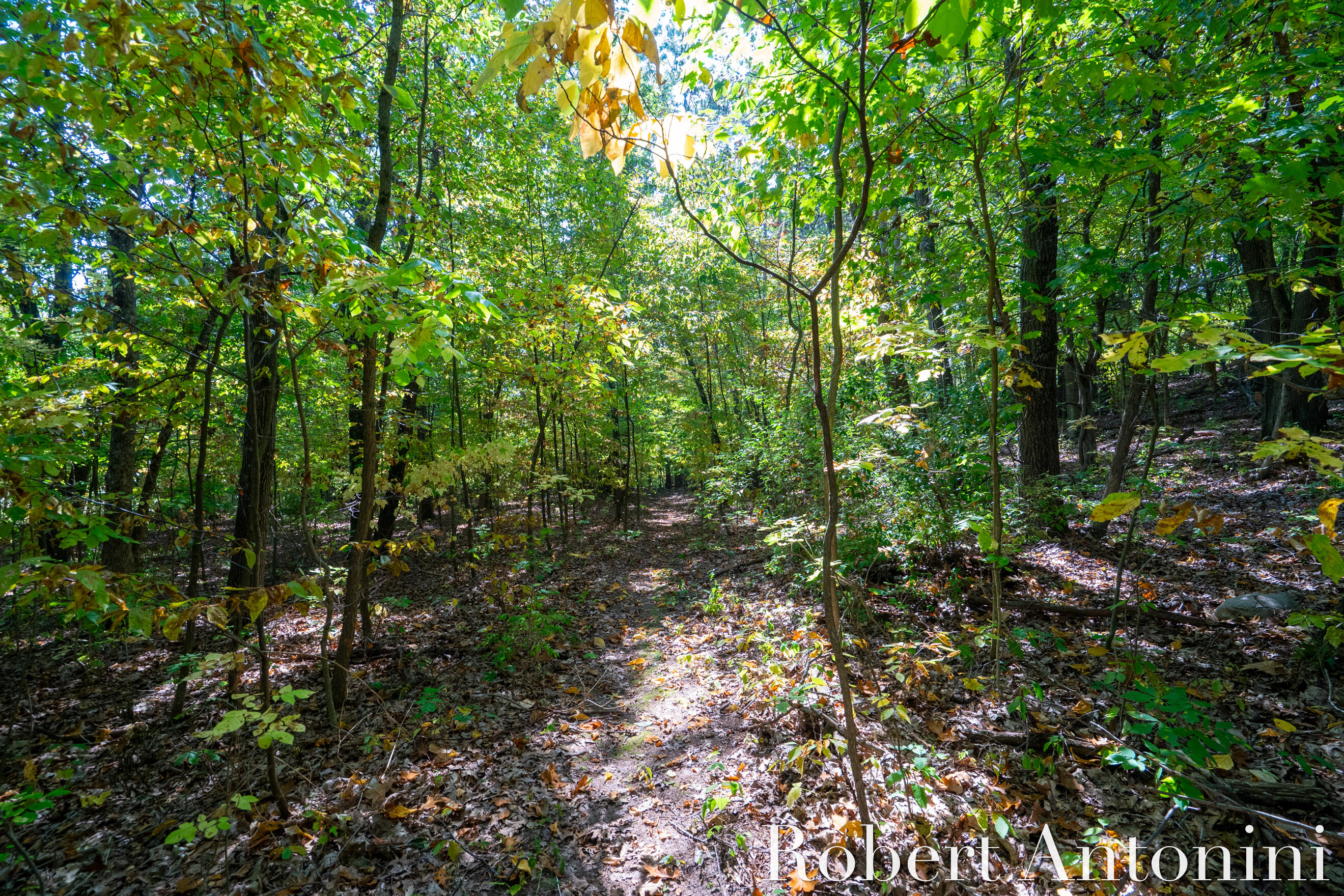 14111 Thompson Drive NE