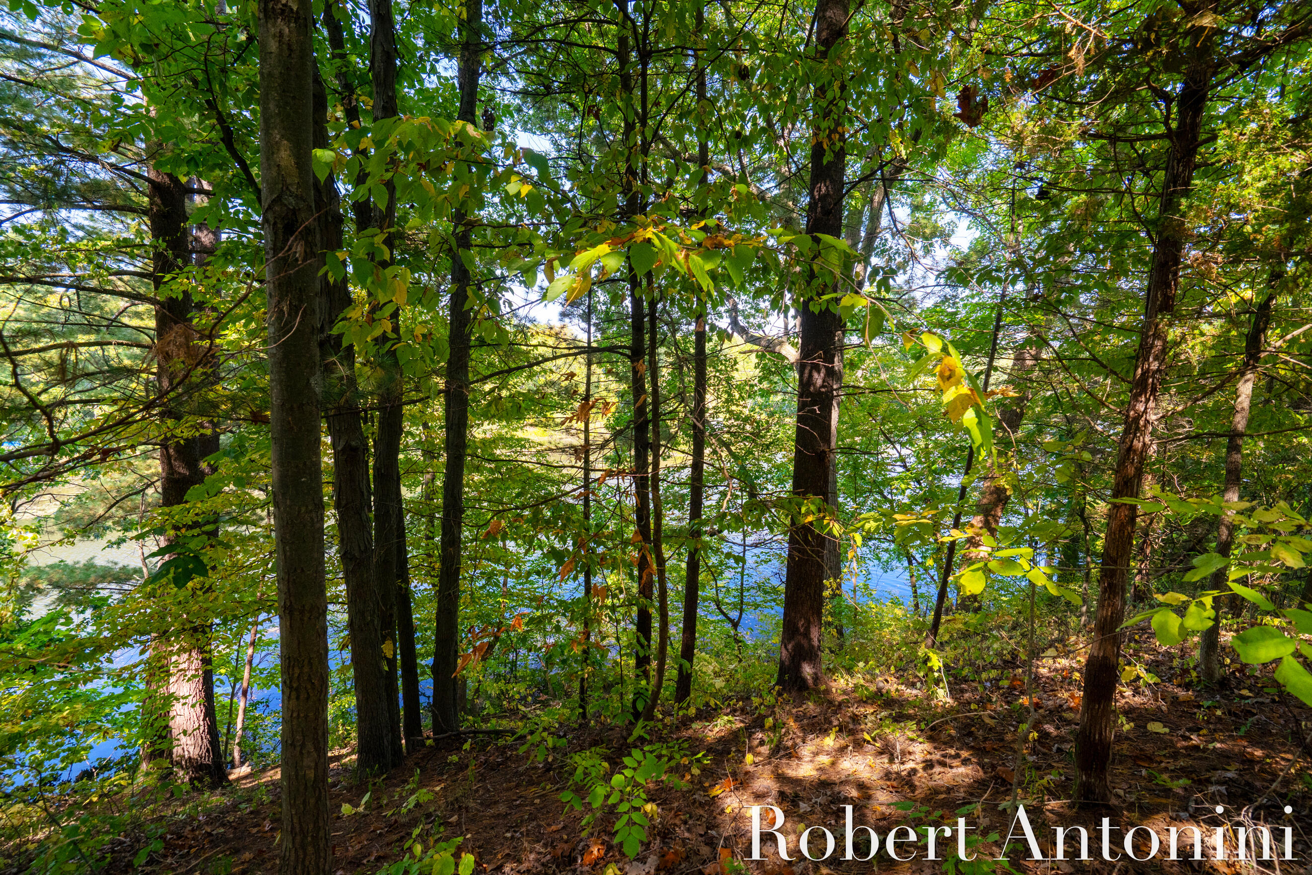 14111 Thompson Drive NE