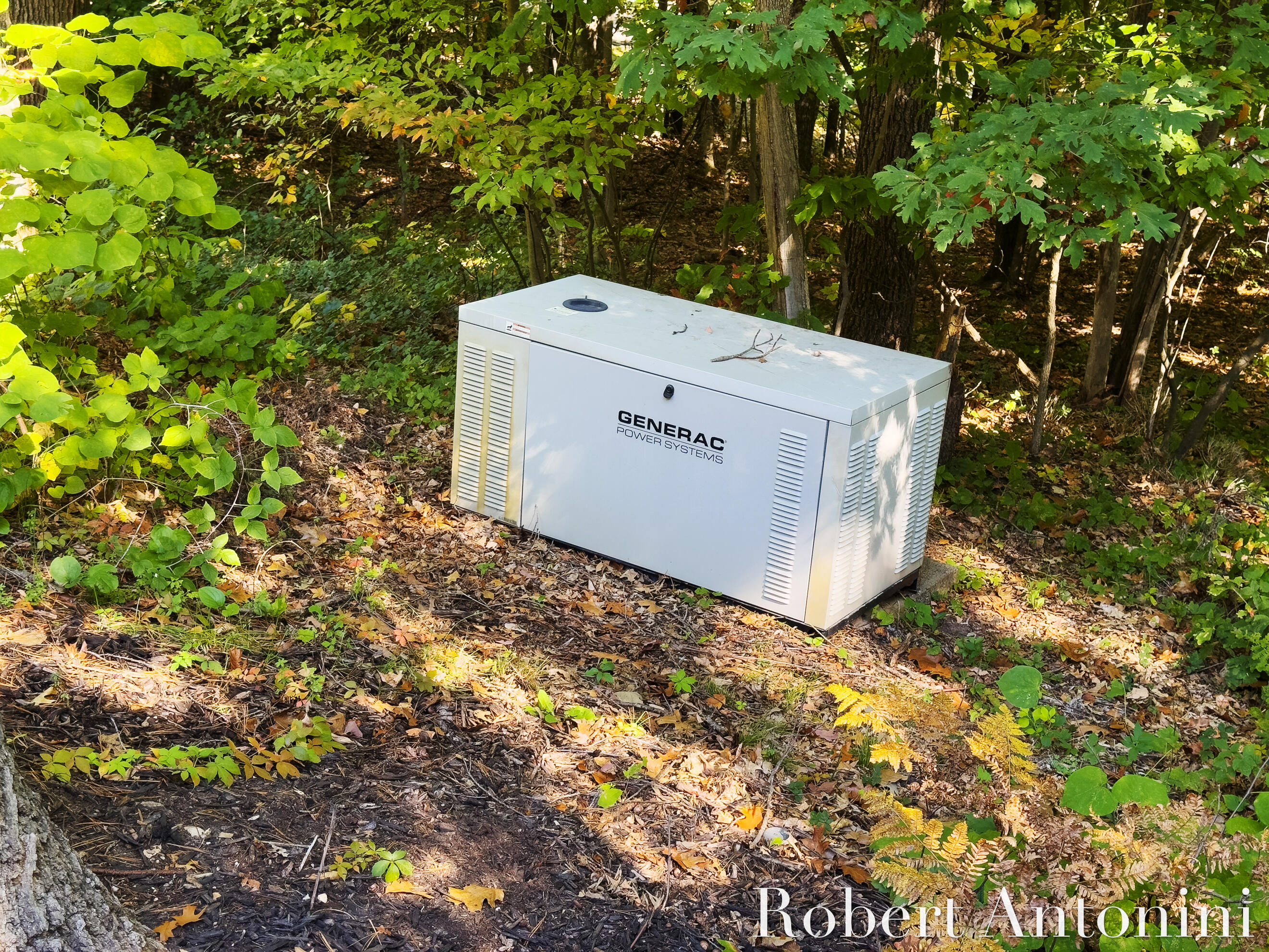 4634 Old Grand River Trail NE, Ada