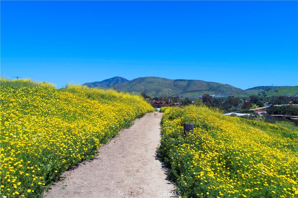 3502 Proctor Valley Road