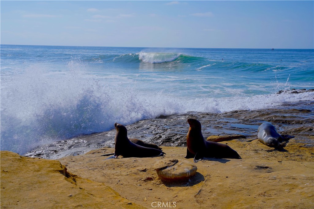 3502 Proctor Valley Road