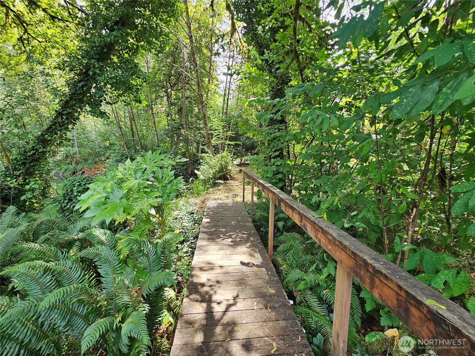 24104 NE 199th Street