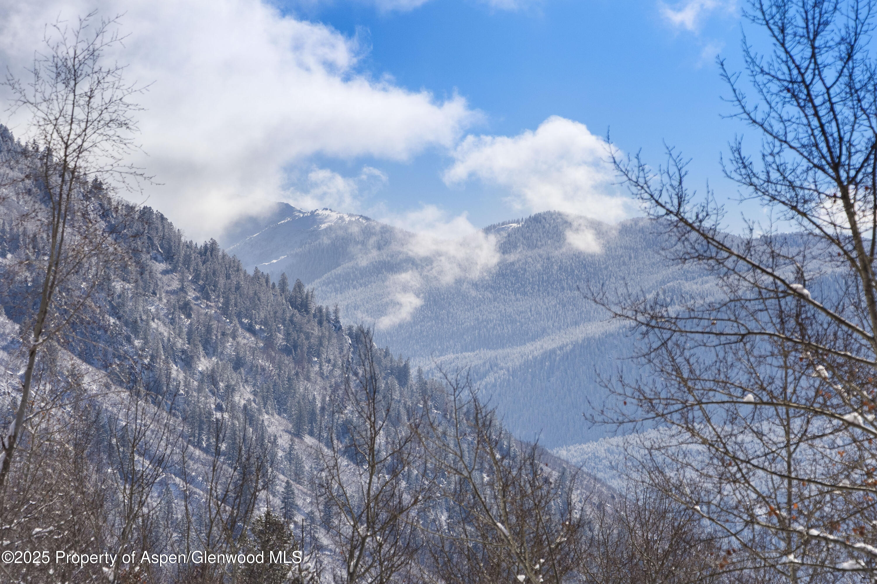 96 Mountain Laurel, B