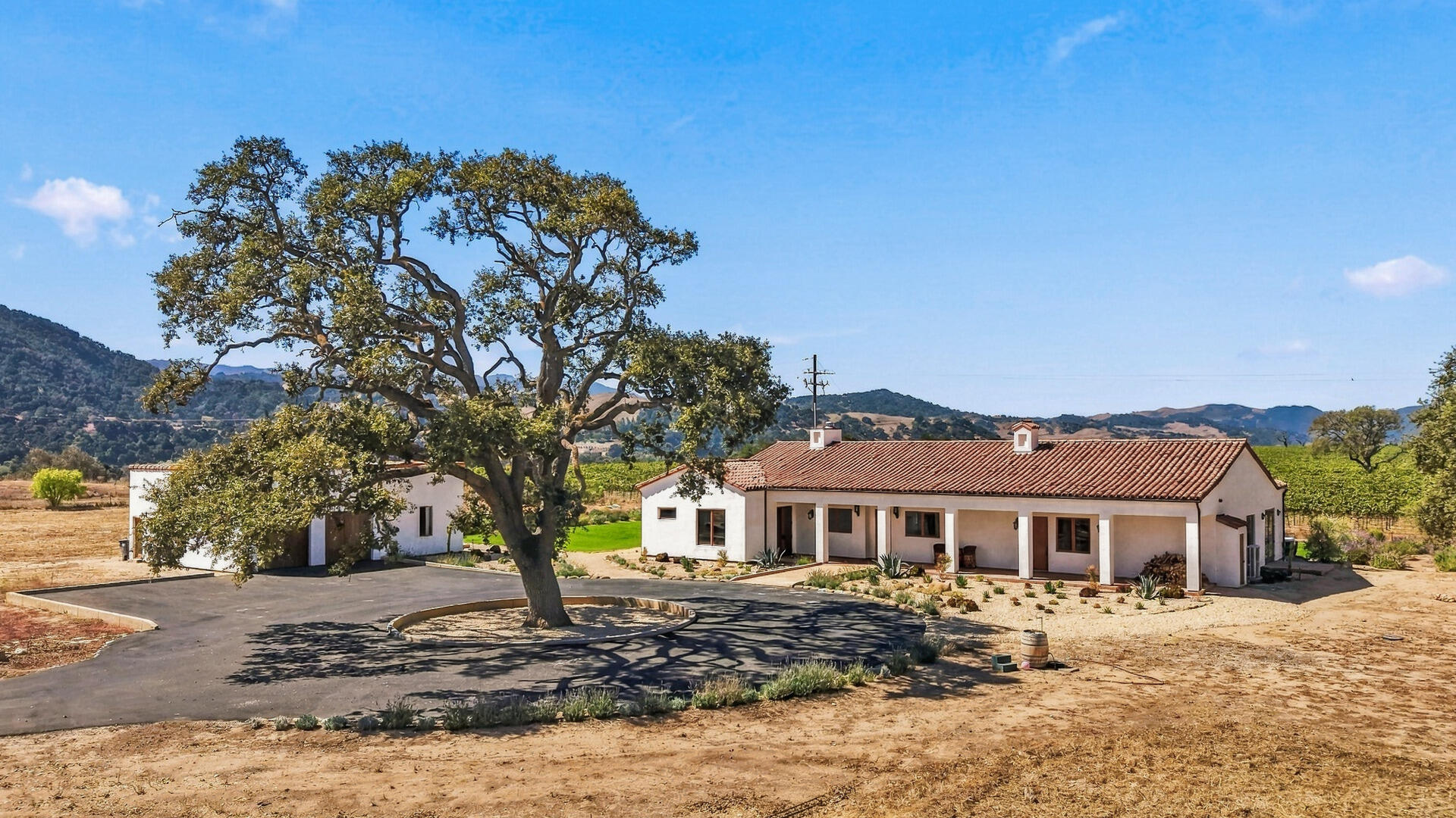 White stucco ranch-style home with red tile roof, shaded by a large oak amid vineyards and rolling hills.