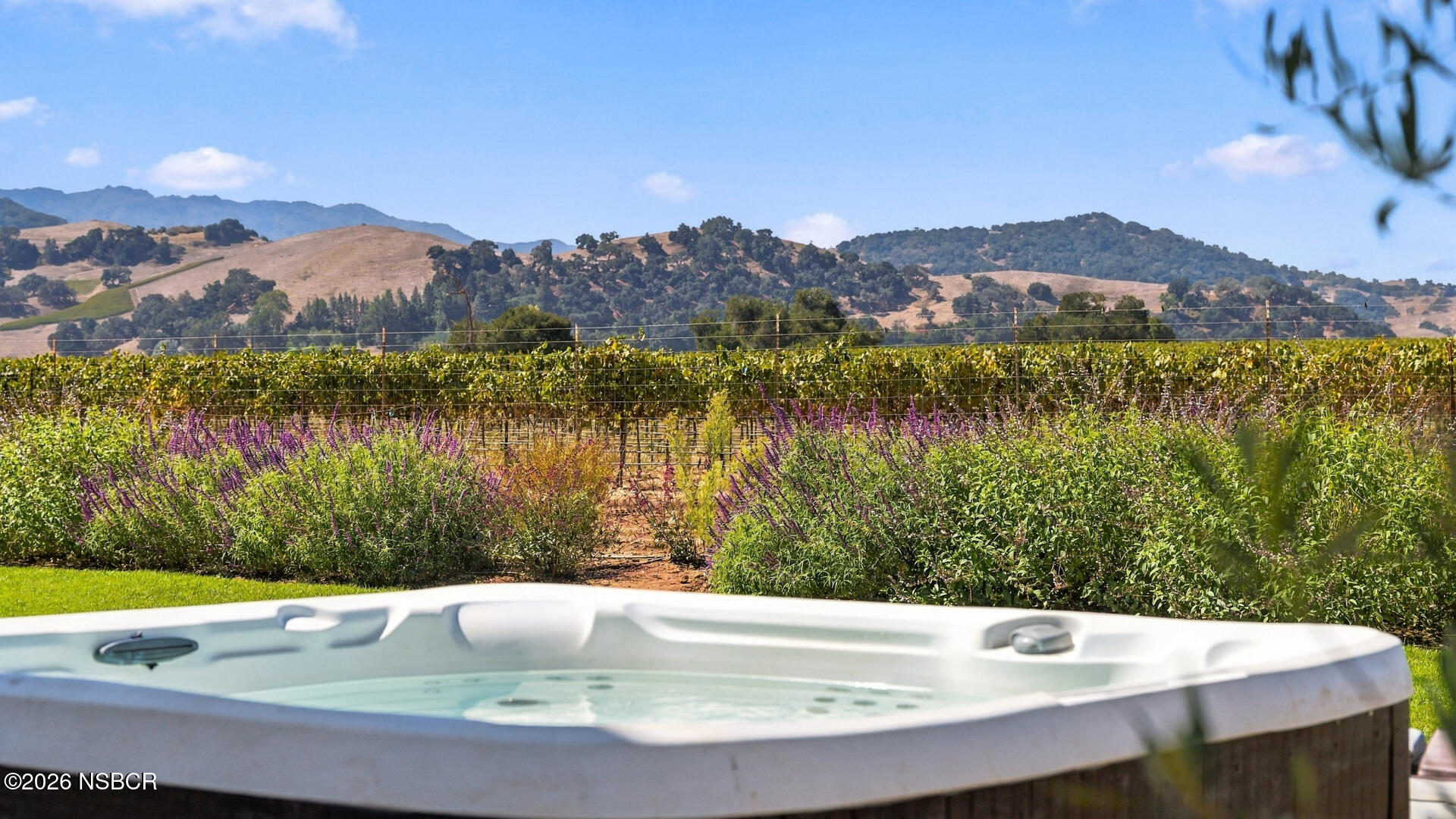 Outdoor hot tub overlooking vineyard rows, purple flowers, and rolling hills.