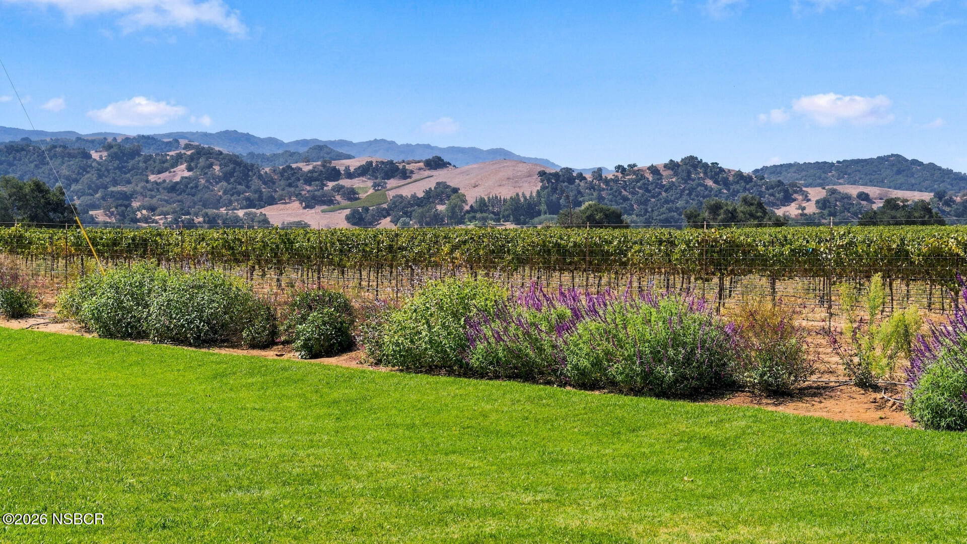 Vineyard rows and flowering garden border a green lawn, with rolling hills beyond.