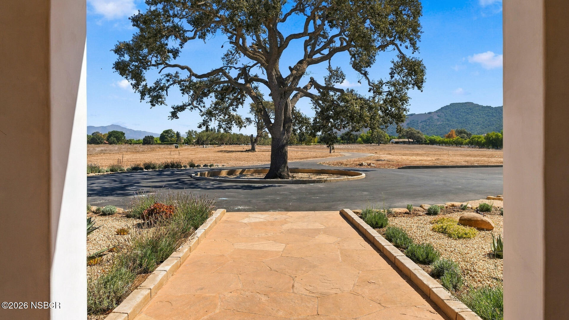 Stone walkway leading to a paved drive beneath a large oak, with open fields and hills beyond.
