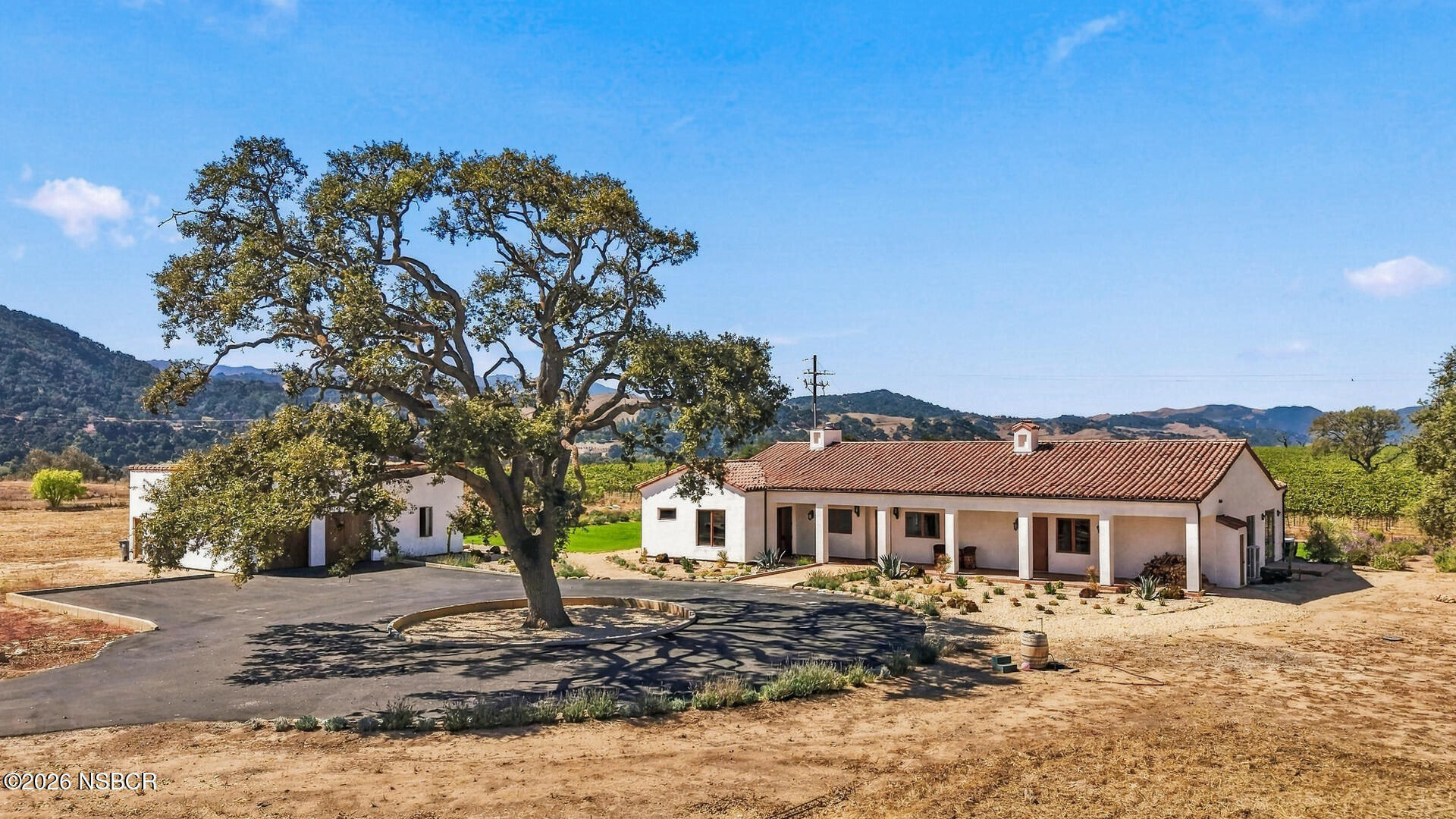 White stucco home with a red tile roof beneath a large oak, with vineyards and hills beyond.