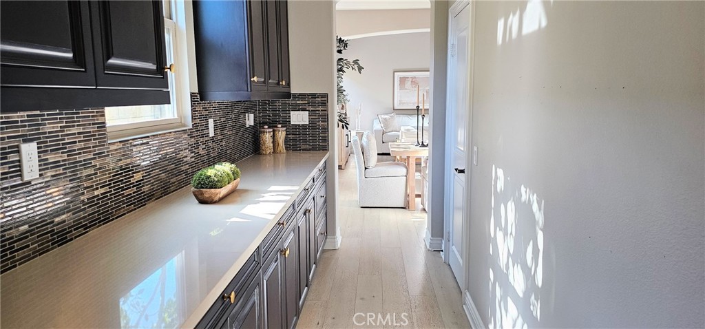 29310 Paseo Palmar