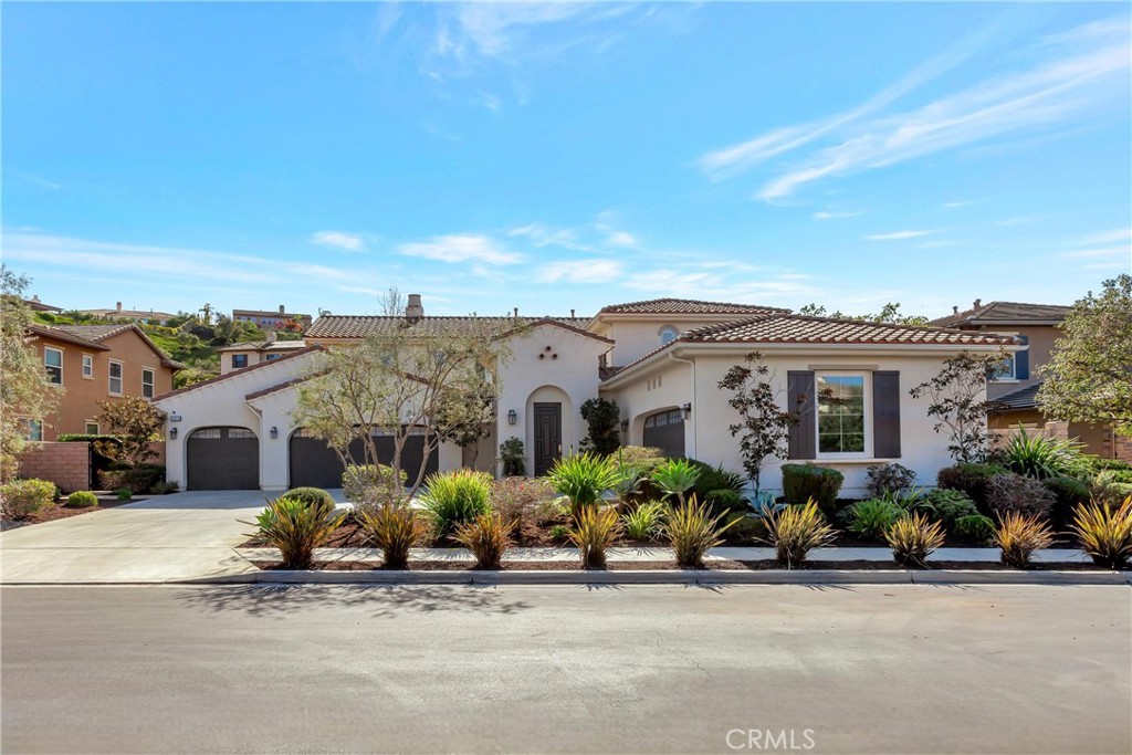 29310 Paseo Palmar