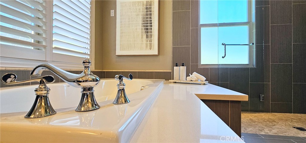 29310 Paseo Palmar