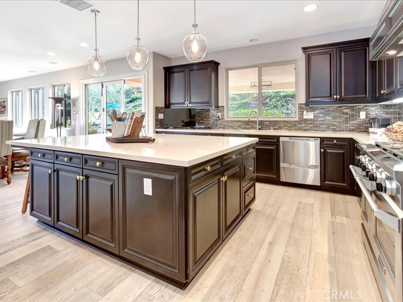 29310 Paseo Palmar