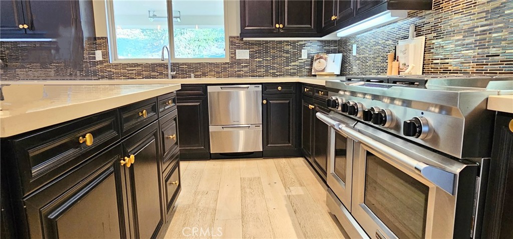 29310 Paseo Palmar