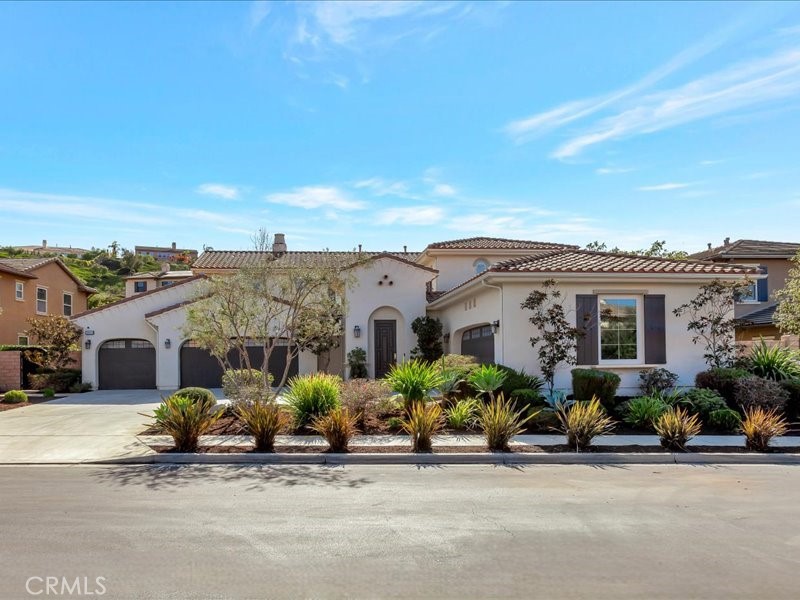 29310 Paseo Palmar