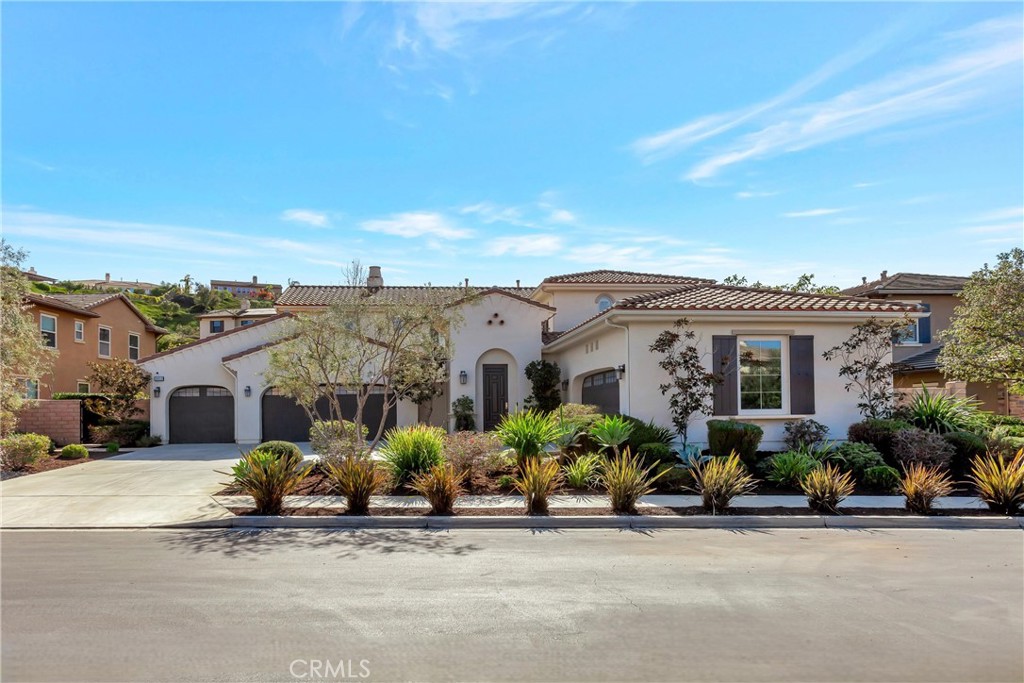 29310 Paseo Palmar