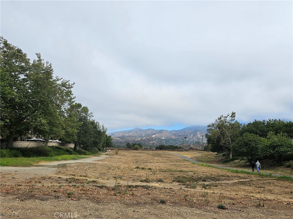21351 Birdhollow Drive
