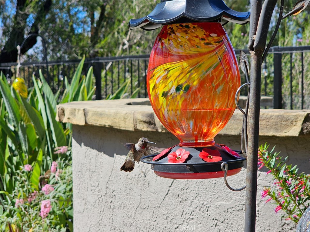 21351 Birdhollow Drive