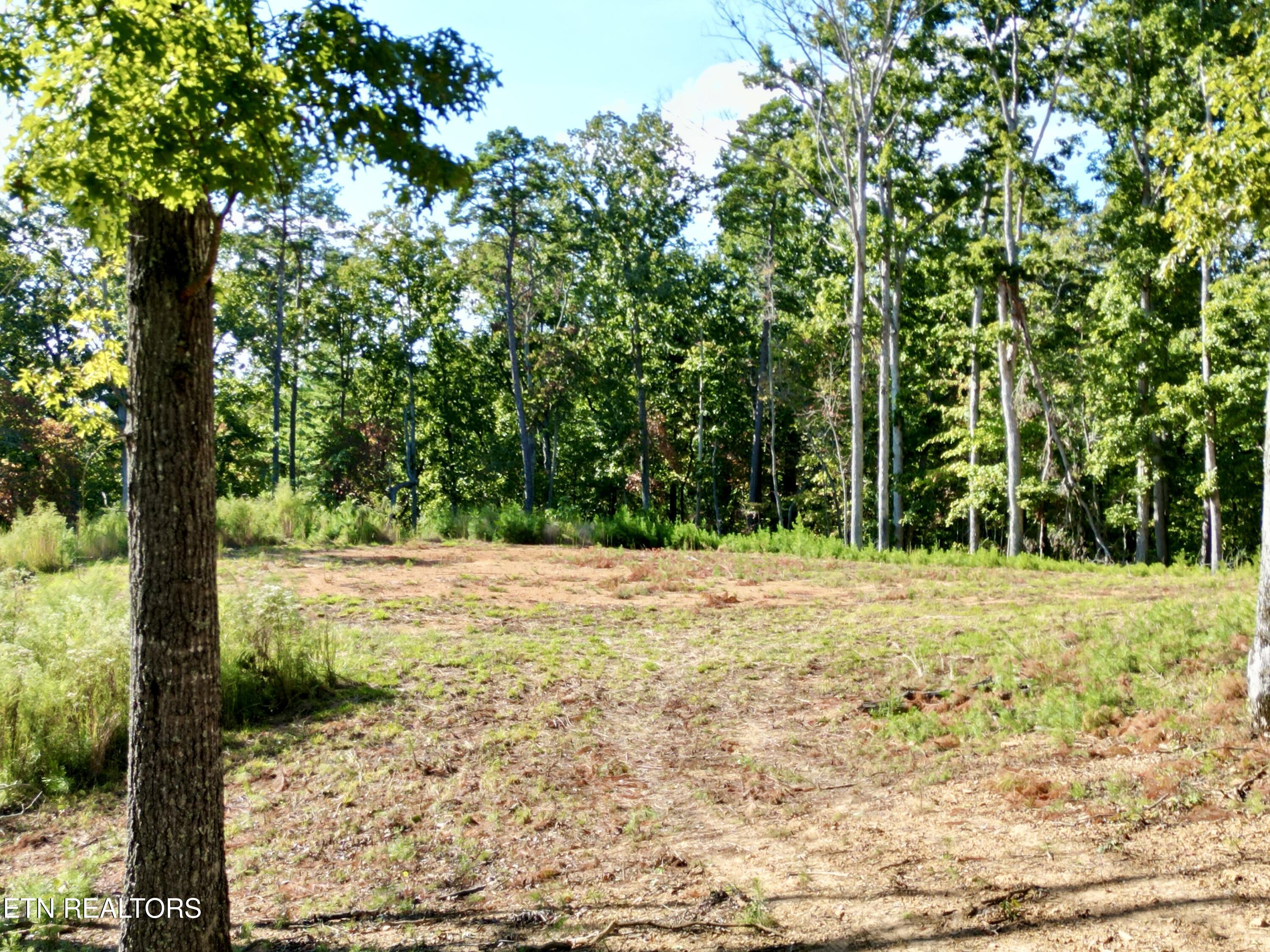 497 Thompson Rd