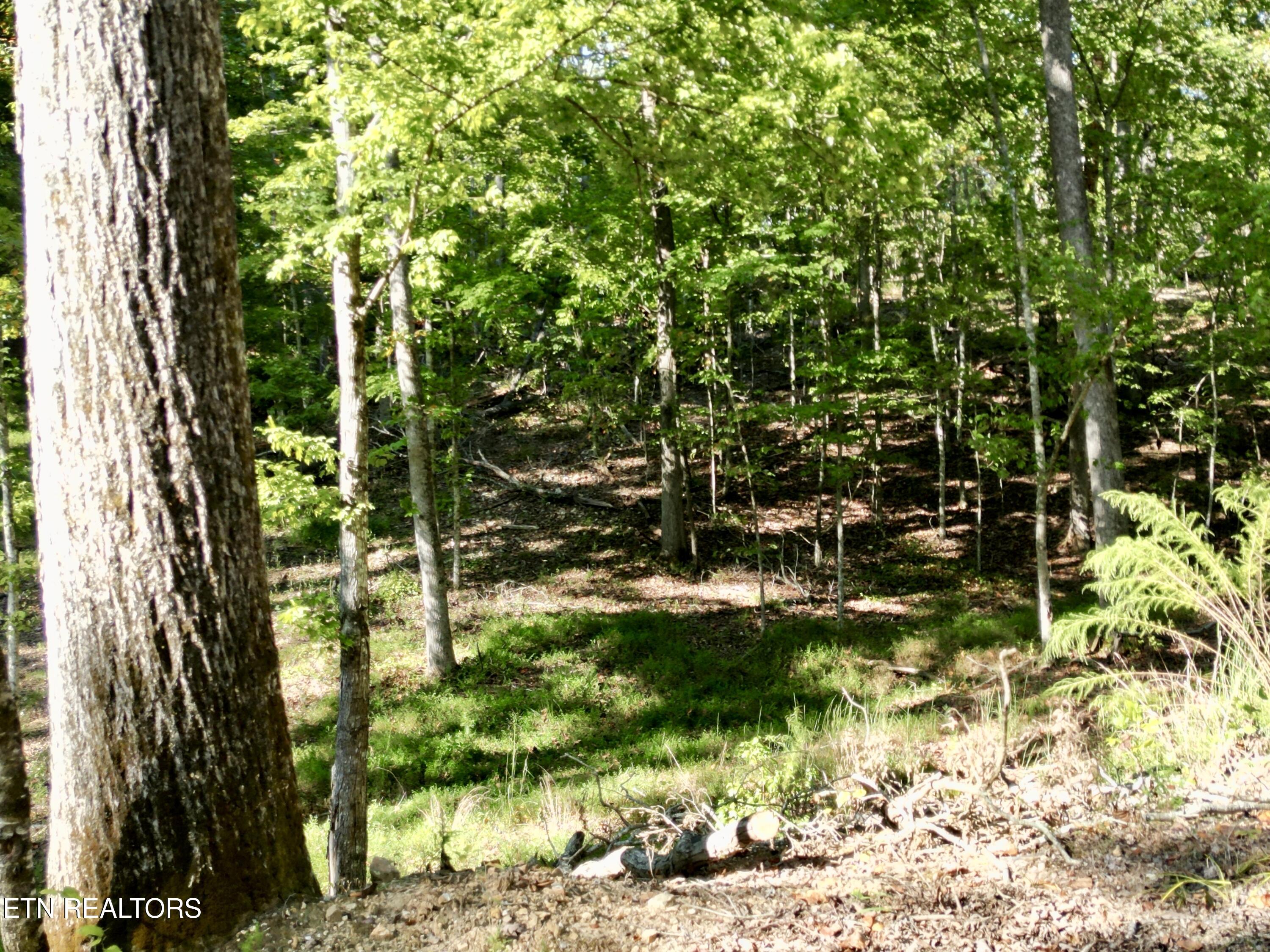 497 Thompson Rd