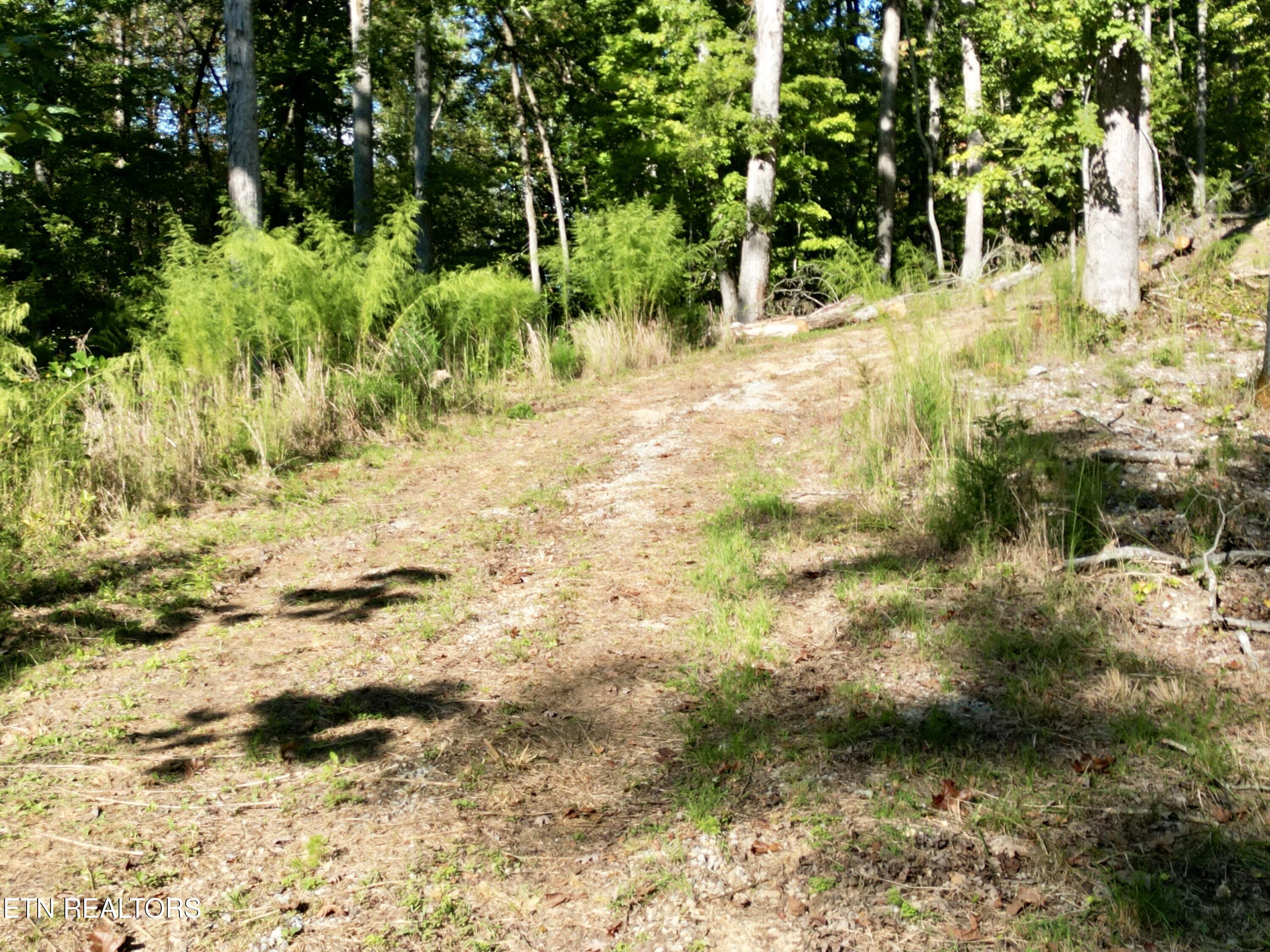 497 Thompson Rd